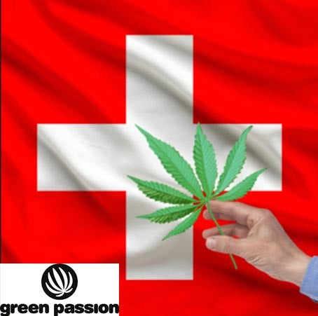Bundesrat veröffentlicht Bericht zur Rechtssicherheit bei Produktion, Handel und Gebrauch von Hanf/Cannabisprodukten