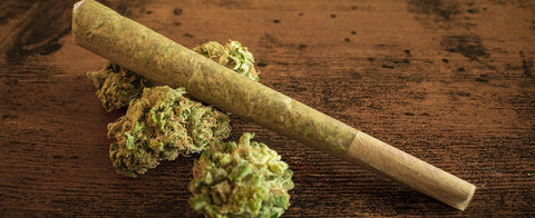 In welcher Form werden CBD Produkte angeboten? – Teil 2