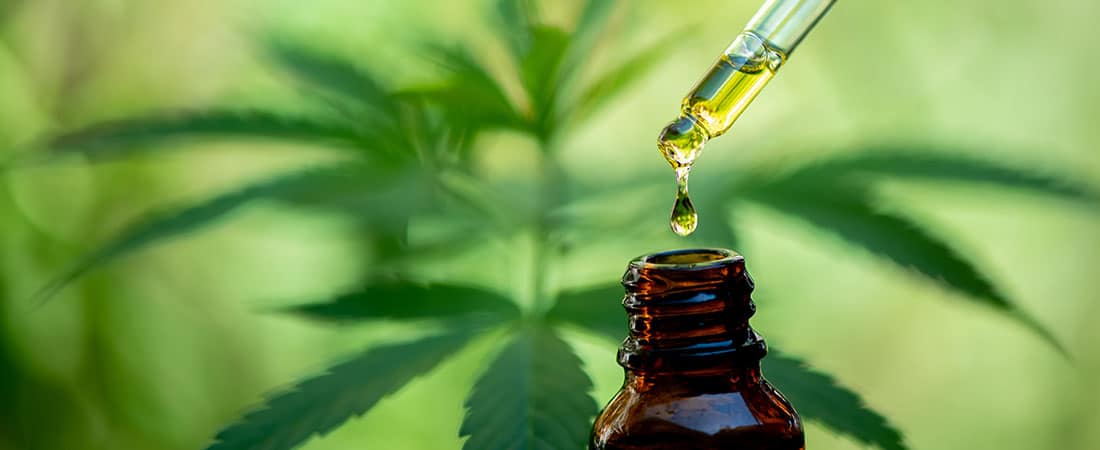Make Your Own CBD Oil – Step-by-Step Guide