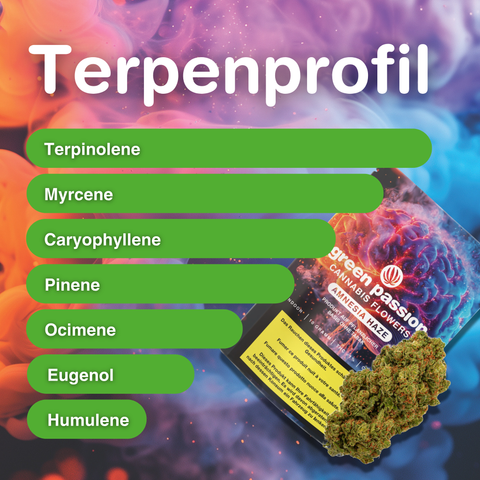 Verpackung der Amnesia Haze CBD Blüten Indoor mit Terpenprofil und Blütenabbildung vor buntem Hintergrund.