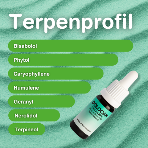 Flasche des Midnight Elixir Packs mit 30% CBD auf grünem Hintergrund, zeigt Terpenprofil mit Bisabolol, Phytol und anderen Inhaltsstoffen.