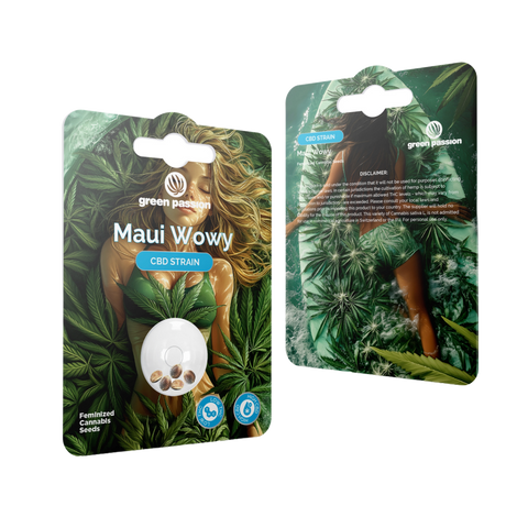 Maui Wowy CBD Samen von Green Passion – feminisierte Hanfsamen mit hochwertigem Design, inspiriert von Cannabis-Blättern und tropischen Vibes.