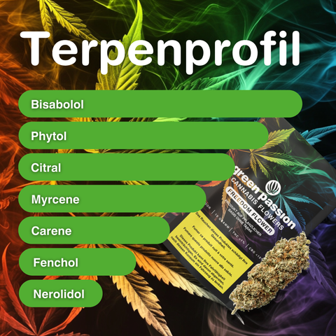 Verpackung von Freedom Flower CBG Blüten Indoor mit Terpenprofil auf buntem Hintergrund, zeigt Terpene wie Bisabolol und Myrcene.