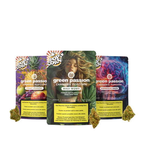 Green Passion CBD Popcorn Blüten Maui Wowy, Fruit Punch, Amnesia Haze in Verpackung mit Hanfblüten, freigestellt – CBD Popcorn Schweiz