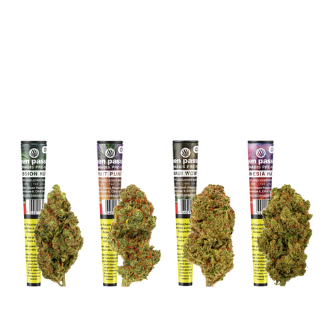 CBD Pre-Rolls Set mit vier verschiedenen Sorten in transparenten Röhrchen, begleitet von großen, grünen Hanfblüten auf weißem Hintergrund.