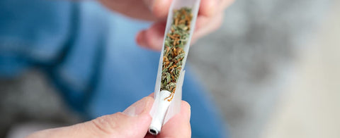 Cannabis-Pilotversuche zu Genusszwecken