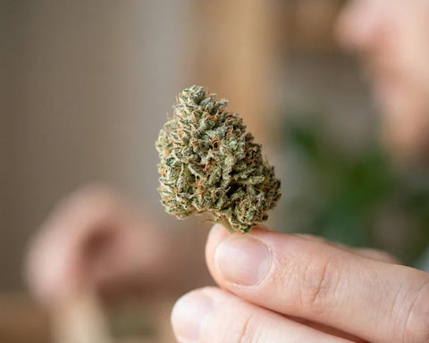 Was ist CBD (Cannabidiol)?