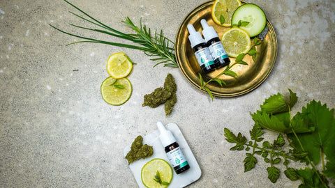 Bioverfügbarkeit von CBD