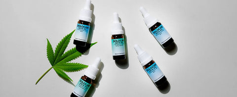 Die Besonderheiten von CBD Öl
