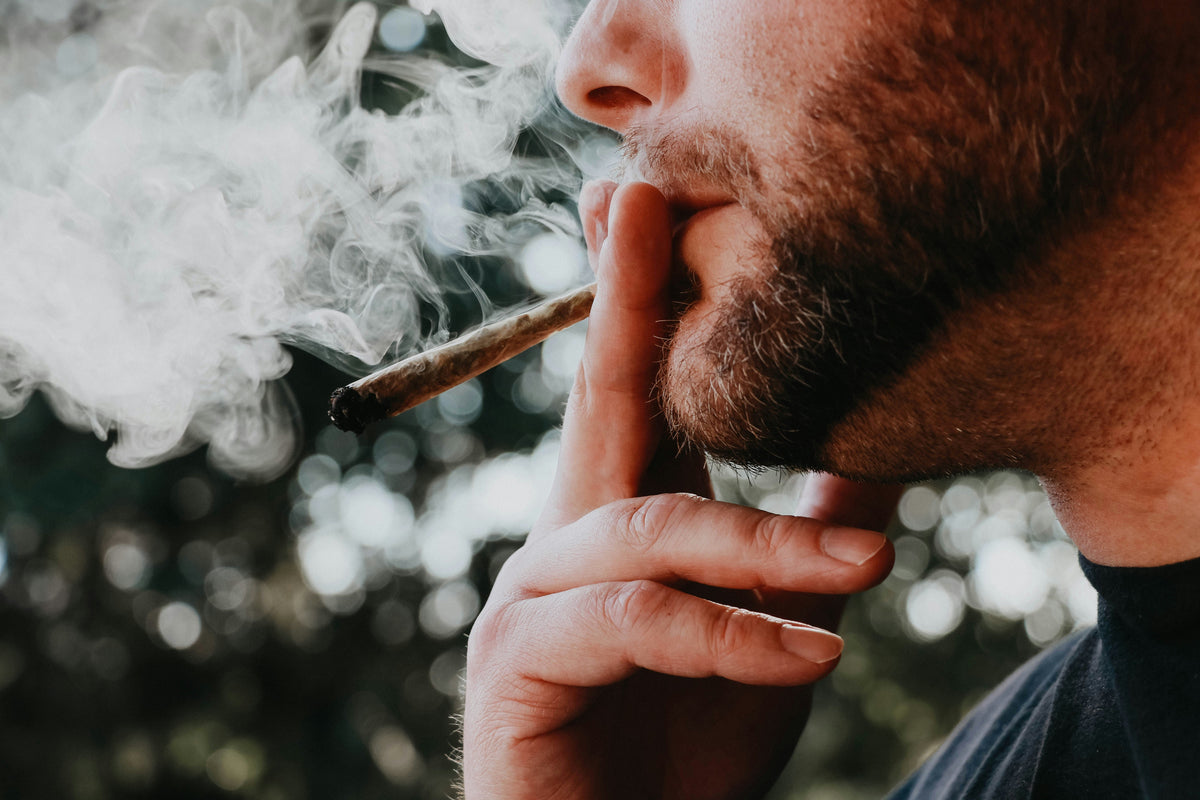 Top 5 prodotti CBD per weekend rilassanti