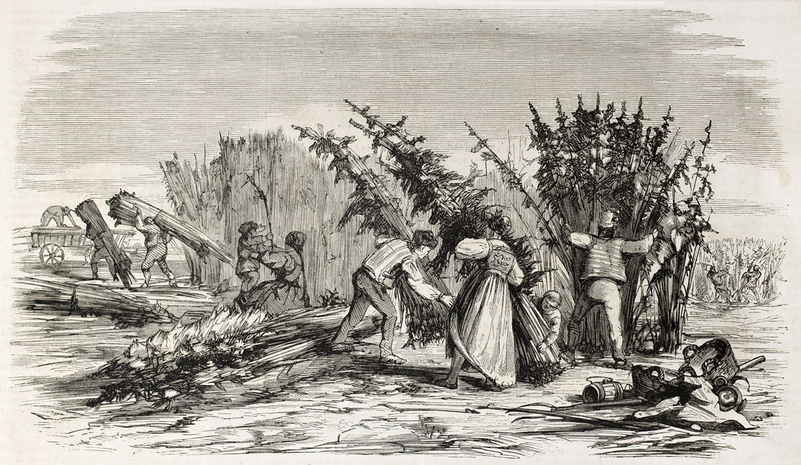 The History of Hemp