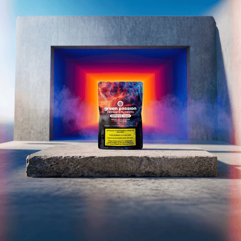 Green Passion Cannabis Flowers Amnesia Haze – 10g Indoor-Packung auf Steinsockel vor leuchtendem Tunnelportal in Orange und Violett mit Nebeleffekt.