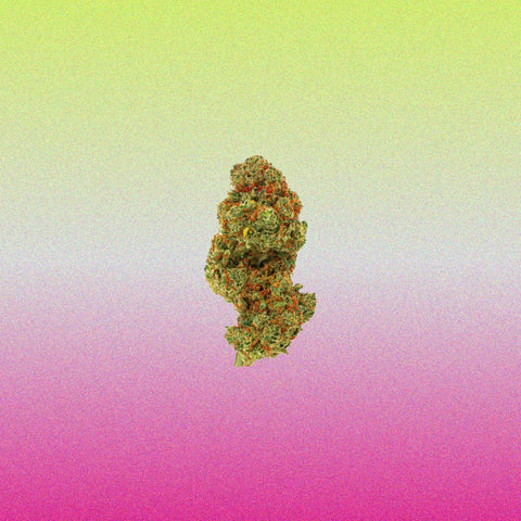 CBD Blüten