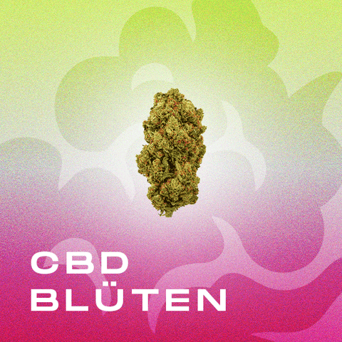 CBD Blüten
