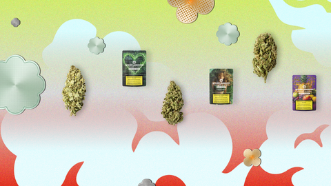 CBD Shop – Premium Produkte kaufen bei Green Passion