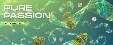 Pure Passion – CBD, redefined. Abstract cannabis flowers with transparent, flowing shapes.