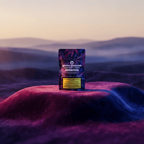 Green Passion Cannabis Flowers Velvet Passion – 10g Indoor-Packung auf samtiger Hügelkuppe in Pink und Violett, vor neblig-blauem Bergpanorama bei Dämmerung.
