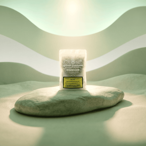 Green Passion Cannabis Flowers White Passion – weisse 10g Indoor-Packung auf organischem Kieselstein in minimalistischer Mint-Grün-Landschaft mit wellenförmigen Hügeln und strahlendem Gegenlicht.