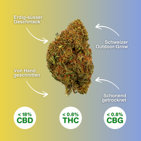 Alpina Green - Fleurs de CBD Outdoor