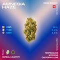 Amnesia Haze CBD flower with 16% CBD, 0.8% THC, and 0.6% CBG, featuring herbal and earthy flavors. Terpenes include terpinolene, myrcene, and caryophyllene.