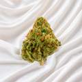 Fleurs de CBD Amnesia Haze Popcorn de Green Passion – Têtes compactes aux terpènes fruités et épicés, mises en valeur avec soin sur un fond naturel.