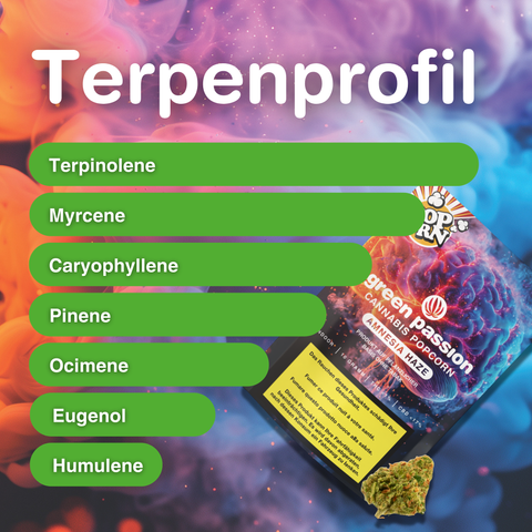 Amnesia Haze Popcorn 10g - Fiori di CBD Indoor