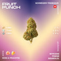 Eine CBD-Blüte der Sorte Fruit Punch mit Angaben zu CBD-, THC- und CBG-Gehalt sowie Aromen und Terpenen auf einem farbigen Hintergrund.