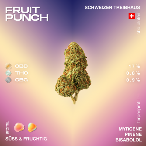 Eine CBD-Blüte der Sorte Fruit Punch mit Angaben zu CBD-, THC- und CBG-Gehalt sowie Aromen und Terpenen auf einem farbigen Hintergrund.