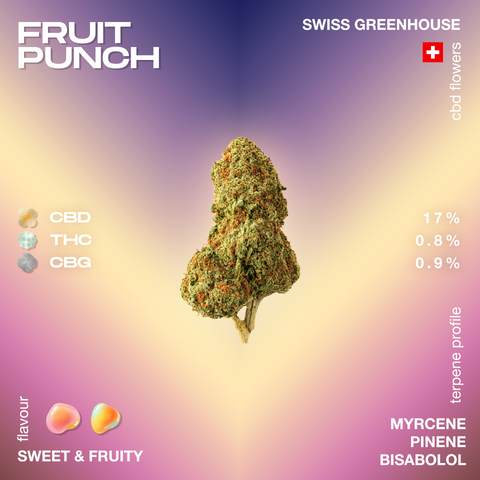 A single cannabis bud labeled 'Fruit Punch' with CBD, THC, and CBG percentages, and a sweet and fruity flavor profile.