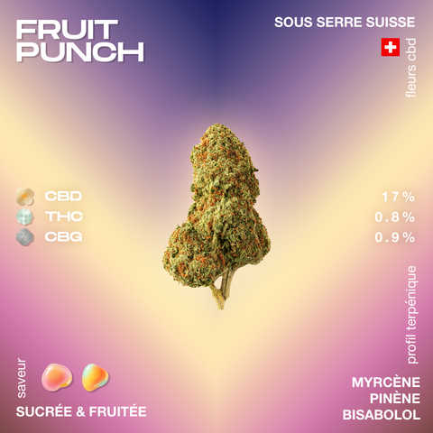 Fleur de CBD Fruit Punch avec 17% de CBD, saveur sucrée et fruitée, cultivée sous serre suisse. Profil terpénique: myrcène, pinène, bisabolol.