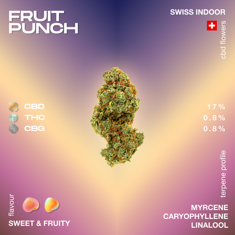 Colorful CBD flower labeled 'Fruit Punch' with 17% CBD, 0.8% THC, and 0.8% CBG, featuring a sweet and fruity flavor profile with myrcene, caryophyllene, and linalool terpenes.