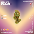 Fiore di cannabis Fruit Punch con profilo terpenico dolce e fruttato, contenente CBD, THC e CBG, su sfondo sfumato.