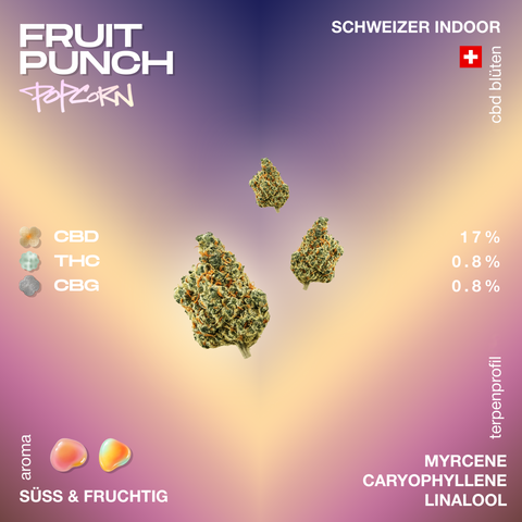 Drei kleine CBD-Blüten der Sorte Fruit Punch Popcorn vor einem farbigen Hintergrund, mit Angaben zu CBD-, THC- und CBG-Gehalt sowie Terpenprofil.