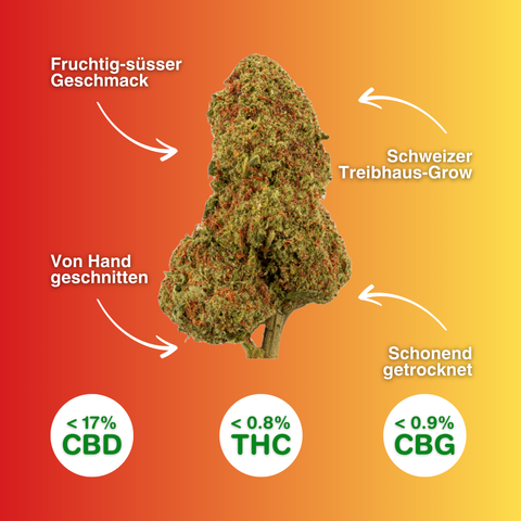 Fruit Punch - Fleurs de CBD de Serre