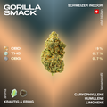 CBD Blüte Gorilla Smack mit 19% CBD, 0.7% THC und 0.7% CBG. Aroma: krautig und erdig. Terpenprofil: Caryophyllene, Humulene, Limonene.