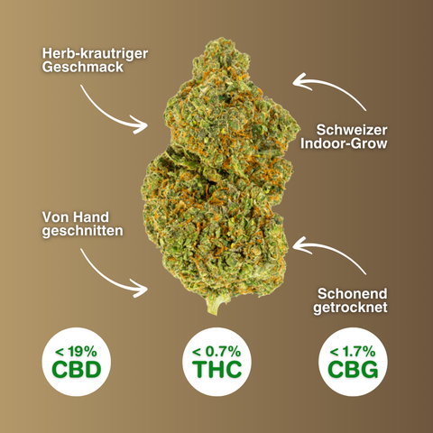 Gorilla Smack - CBD Blüten Indoor