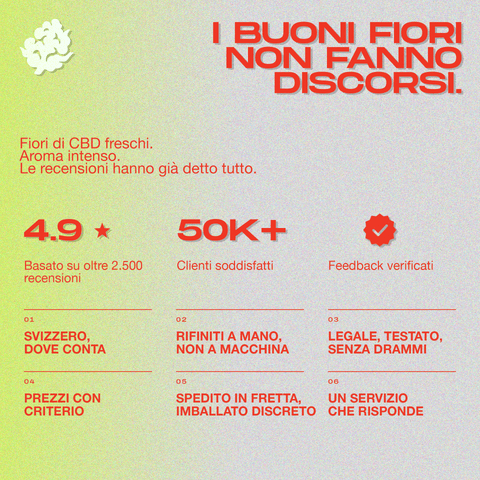 Testo in italiano che evidenzia i benefici del prodotto CBD Moonrocks, con valutazioni e caratteristiche come freschezza e aroma intenso.