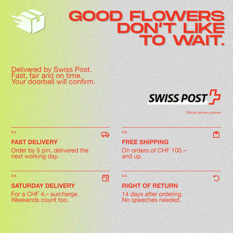 Shipping information for CBD flowers with Swiss Post, highlighting fast delivery, free shipping on orders over CHF 100, Saturday delivery option, and a 14-day return policy.