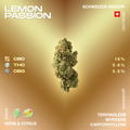 Darstellung der CBD-Blüte Lemon Passion mit Angaben zu CBD-, THC- und CBG-Gehalt sowie Aromen und Terpenprofil auf einem goldenen Hintergrund.