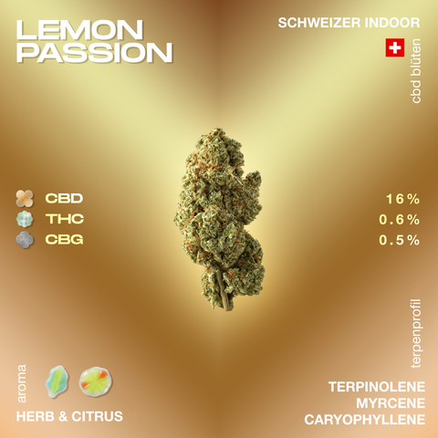 Darstellung der CBD-Blüte Lemon Passion mit Angaben zu CBD-, THC- und CBG-Gehalt sowie Aromen und Terpenprofil auf einem goldenen Hintergrund.
