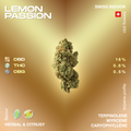 Image of Lemon Passion CBD flower with 16% CBD, 0.6% THC, and 0.5% CBG, featuring herbal and citrusy flavors and terpenes like terpinolene, myrcene, and caryophyllene.