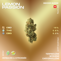 Fleur de CBD Lemon Passion avec 16% de CBD, 0,6% de THC, et 0,5% de CBG, saveur herbacée et citronnée, profil terpénique avec terpinolène, myrcène et caryophyllène.
