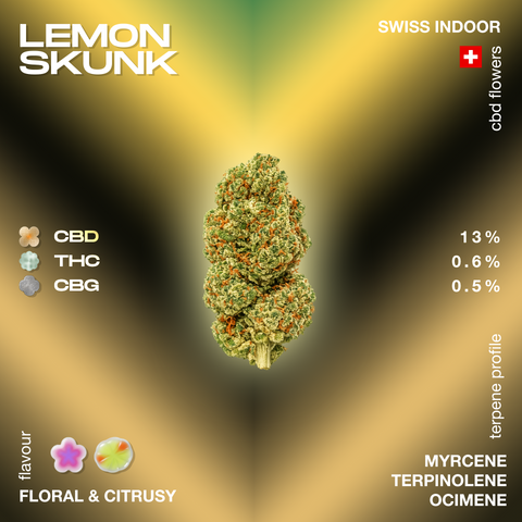 Lemon Skunk CBD flower with 13% CBD, 0.6% THC, and 0.5% CBG, featuring a floral and citrusy flavor profile. Swiss indoor grown with terpenes myrcene, terpinolene, and ocimene.