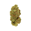 CBD flowers Lemon Skunk from Green Passion – Swiss indoor quality with an intense citrus and skunk aroma, finely trimmed buds with a high CBD content.
