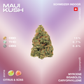 Maui Kush CBD-Blüte mit 15% CBD, 0,7% THC und 0,8% CBG, Schweizer Indoor-Anbau, mit Aromen von Citrus und Süss, Terpenprofil: Myrcene, Bisabolol, Caryophyllene.