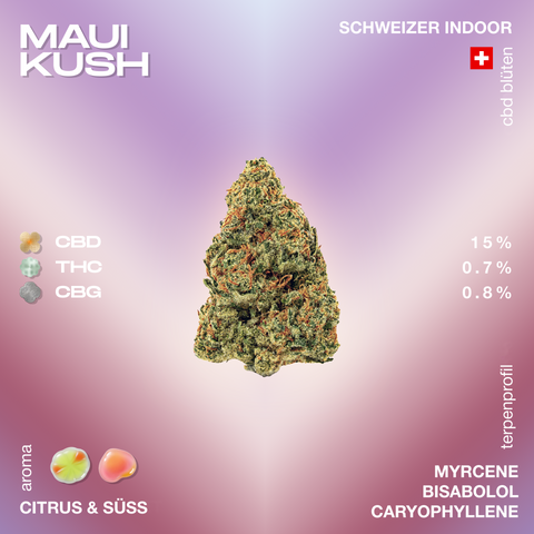 Maui Kush CBD-Blüte mit 15% CBD, 0,7% THC und 0,8% CBG, Schweizer Indoor-Anbau, mit Aromen von Citrus und Süss, Terpenprofil: Myrcene, Bisabolol, Caryophyllene.