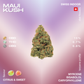 Maui Kush CBD flower with a citrus and sweet flavor profile, featuring 15% CBD, 0.7% THC, and 0.8% CBG, highlighted against a gradient background.