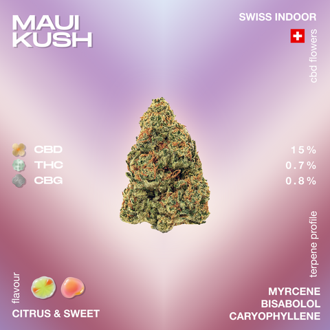 Maui Kush CBD flower with a citrus and sweet flavor profile, featuring 15% CBD, 0.7% THC, and 0.8% CBG, highlighted against a gradient background.