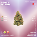 Fiore di cannabis Maui Kush con profilo terpenico di mircene, bisabololo e cariofillene, gusto agrumato e dolce, con 15% CBD, 0.7% THC, 0.8% CBG.