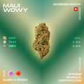 CBD-Blüte Maui Wowy mit 18% CBD, 0.9% THC und 0.9% CBG, Schweizer Indoor-Anbau, blumig-würziges Aroma, Terpenprofil mit Myrcene, Bisabolol und Caryophyllene.